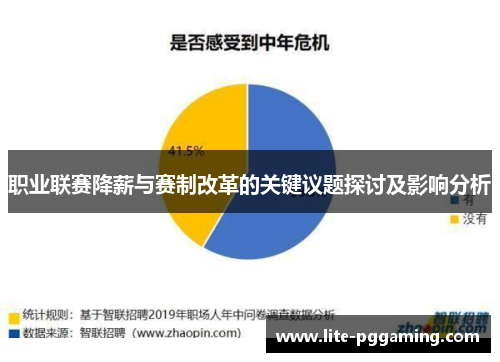 职业联赛降薪与赛制改革的关键议题探讨及影响分析