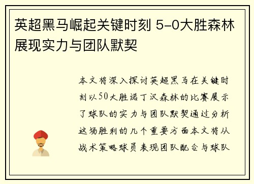 英超黑马崛起关键时刻 5-0大胜森林展现实力与团队默契