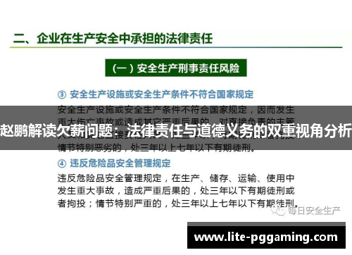 赵鹏解读欠薪问题：法律责任与道德义务的双重视角分析