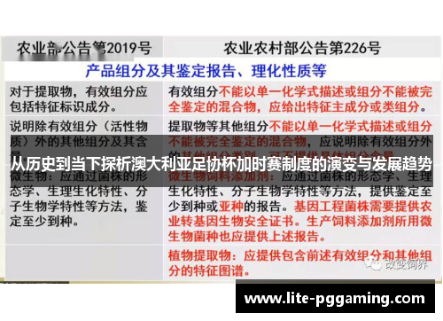 从历史到当下探析澳大利亚足协杯加时赛制度的演变与发展趋势