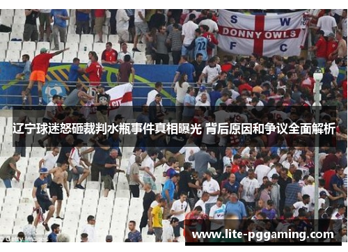 辽宁球迷怒砸裁判水瓶事件真相曝光 背后原因和争议全面解析