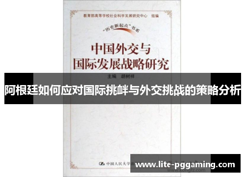 阿根廷如何应对国际挑衅与外交挑战的策略分析