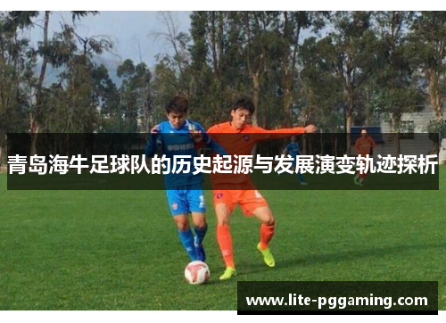青岛海牛足球队的历史起源与发展演变轨迹探析 青岛海牛足球队的历史起源与发展演变轨迹探析
